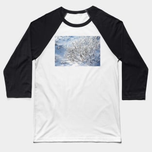 Hoarfrost on Arctic Willow Baseball T-Shirt